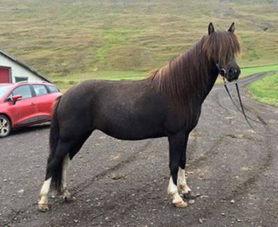 Merrie Aska werd bruut verkracht en dat komt vaker voor in Nederland