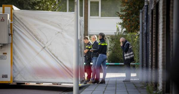 De politie heeft het vermoeden dat de moordenaars na de moord op Wiersum enkele handlangers naar een plek in #Utrecht hebben gestuurd om daar personen te ontmoeten.
