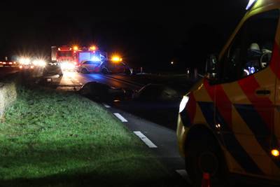 Twee paarden overleden bij ongeval in Weerselo