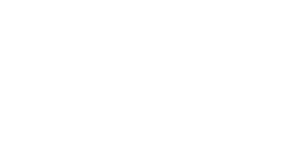 Art of Eight Limbs