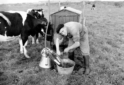 Oorlogsdagboek Kekerdom: ‘Tankgracht graven, dat moest van de NSB-burgemeester’