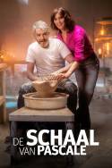 boxcover van De Schaal van Pascale