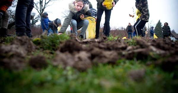 Kinderen zaaien de lente in Wamel