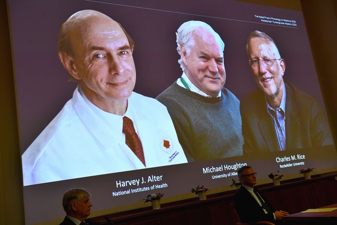 Harvey J. Alter, Michael Houghton et Charles M. Rice