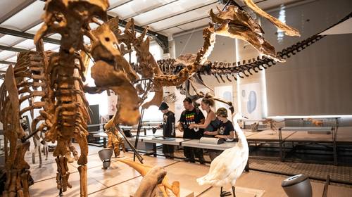 Met de kroost naar het museum? Haast u, de tickets zijn bijna op