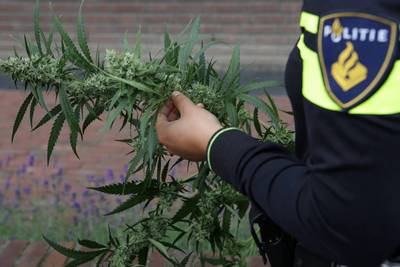 Wietkwekerij in Cuijk ontdekt door naar buiten stromend water