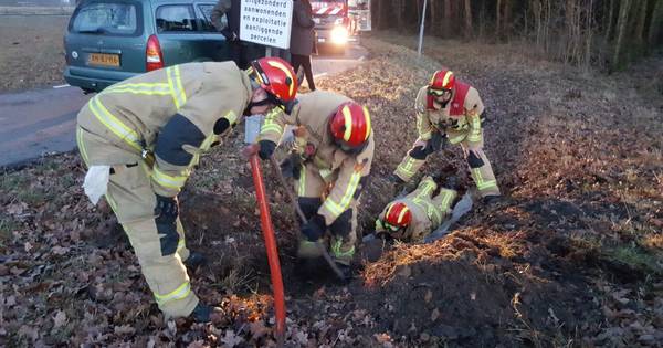 Brandweer bevrijdt hond uit benarde positie in Zenderen