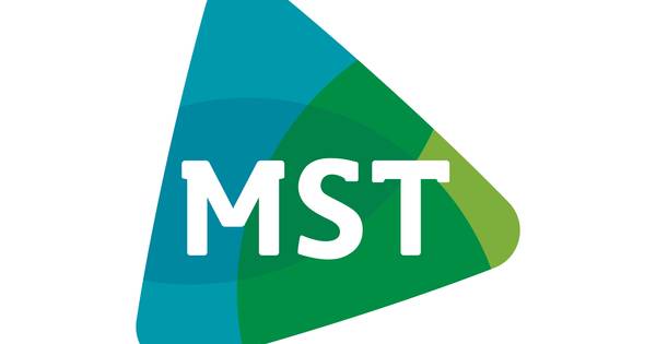 Nieuw logo  MST  zoek de verschillen Enschede tubantia nl