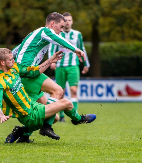 Denneboom Terug In Het Oranje Van Kruisland Wikipedia Pagina Meteen Aangepast Amateurvoetbal Bndestem Nl