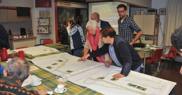 Esperloop bij Bakel: kronkels in beek ten koste van oude eiken?