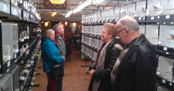 Vogelliefhebbers komen bijeen in Didam en Lobith - De Gelderlander