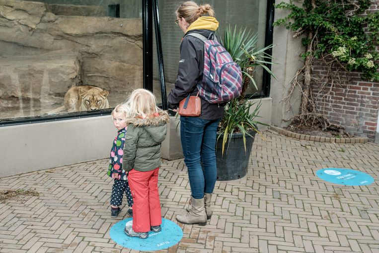 ‘Stop met dieren uitbuiten, maak van Artis een opvangcentrum’