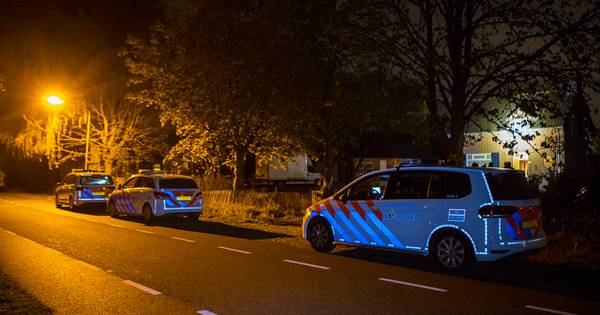 Overvallers huis uitgejaagd door gezin in Spoordonk, vader mishandeld - Eindhovens Dagblad