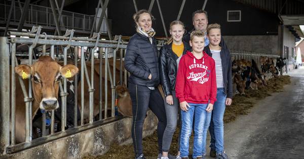 Lekkerste ijs of niet, Erve Kuiper zit in de problemen - Tubantia