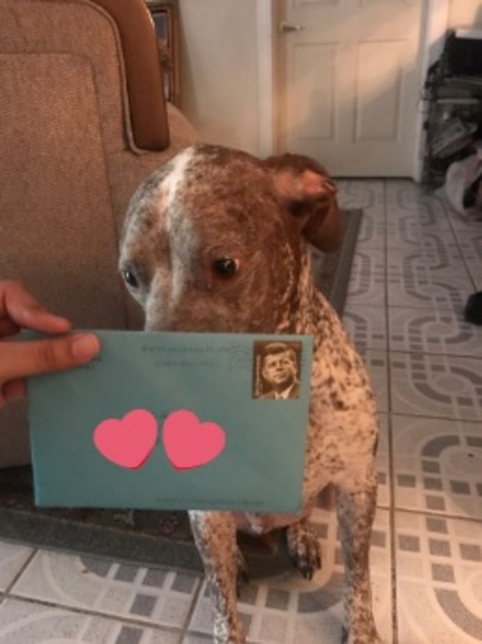 Spiksplinternieuw Texaan stuurt nog steeds verjaardagskaart naar hond van ex EH-61