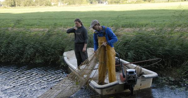 Vis bepaalt rapportcijfer water in Vinkel | 's-Hertogenbosch | bd.nl - BD.nl