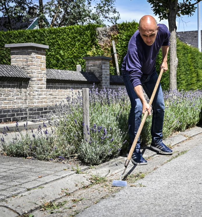 Schepen Francis De Donder (Leefbaarder Zele) wiedt het onkruid in de goot.