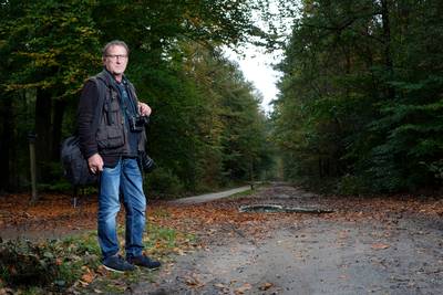 Publiek laat wolf op Veluwe met rust