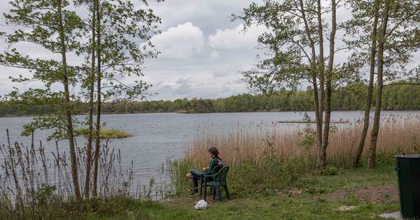 Drenkeling gered uit ven van Kempervennen in Westerhoven - Eindhovens Dagblad