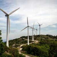 ‘De lage prijzen voor groene energie zijn het klimaat niet aan het redden’