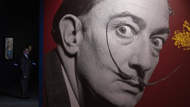 Schilderij in kringloopwinkel blijkt kunstwerk van Dalí te zijn | Kunst &  Literatuur | hln.be