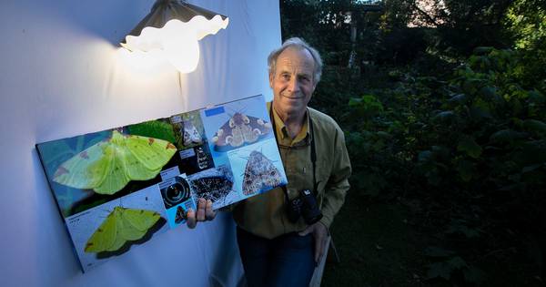 Boek over nachtvlinders in Knegsel: schrijver gaat nooit zonder camera op pad