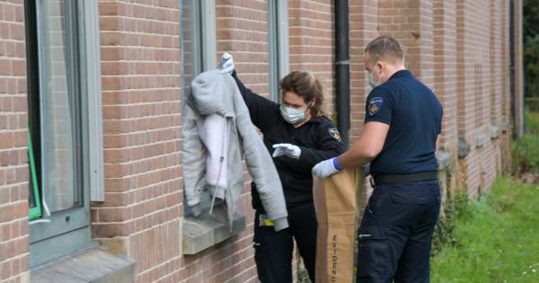 @willemenco @telegraaf Hoeveel linkjes wil je? .