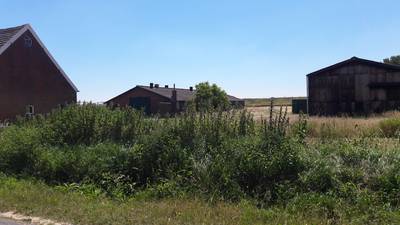 Velt de slopershamer de malariamug die buurt al jaren het leven zuur maakt?