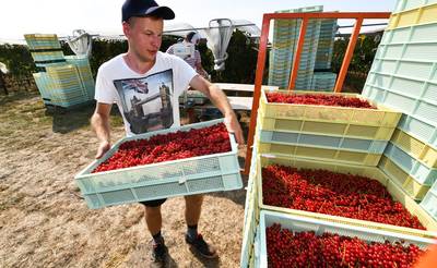 Lossen arbeidsmigranten gebrek aan werknemers op? ‘Op korte termijn kunnen ze zeker helpen’