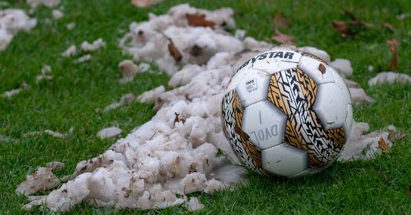 Afgelaste wedstrijd Cambuur-GA Eagles naar maandag 28 januari - De Stentor