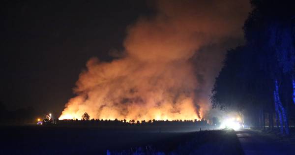 Grote loods uitgebrand in Wouwse Plantage, blussen duurt tot ver in de ochtend - BN DeStem