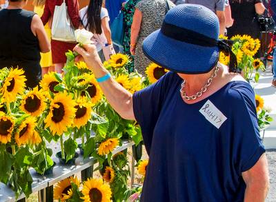 'Nederland twijfelt niet aan Amerikaanse steun bij MH17'