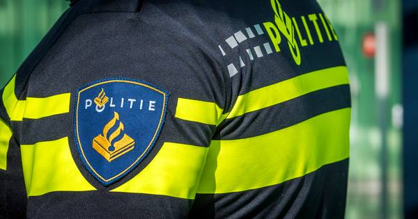 11-jarige Marley Beeks is terecht, vader aangehouden | Binnenland - BN DeStem