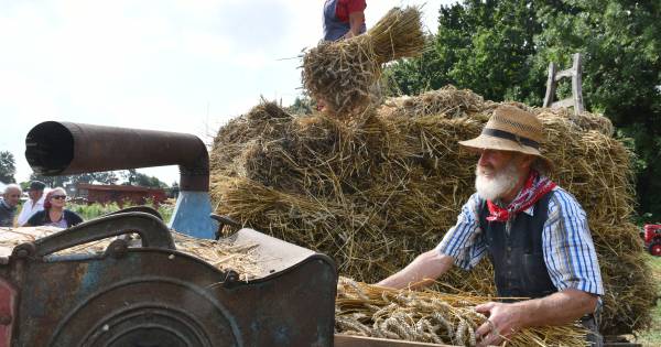 Ophemert gaat terug in de tijd tijdens Historische Oogstdag