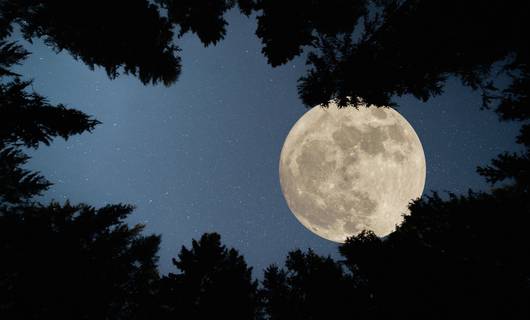 Zeldzaam: hier kun je de gedeeltelijke supermaansverduistering vannacht zien 
