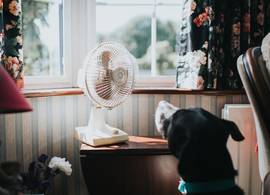 6 tips om je huis koel te houden als ’t buiten snikheet is