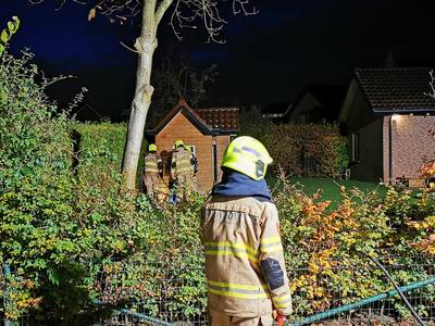 Brand in coniferenhaag Giesbeek waarschijnlijk aangestoken met vuurwerk