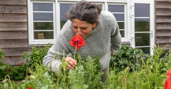 Leuk voor in de achtertuin: een kampeerplek - De Gelderlander