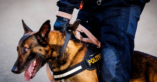 Samenwerking tussen politie en buurtbewoners werpt vruchten af in Stampersgat