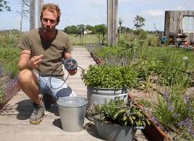Zó droogt je tuin niet uit in de vakantie