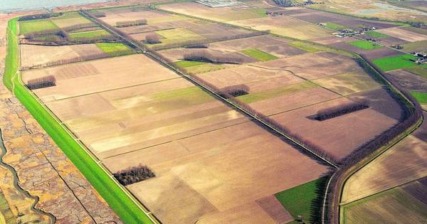 Uitkijkpunt op kop van Gasdam bij Saeftinghe | Zeeuws-Vlaanderen - PZC