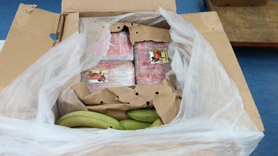 Vader (74) en twee zoons vast voor smokkel van ruim 3000 kilo cocaïne