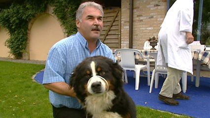 Aflevering 11