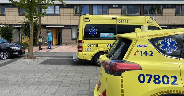 Man loopt hoofdwond op bij vechtpartij in Barneveld.