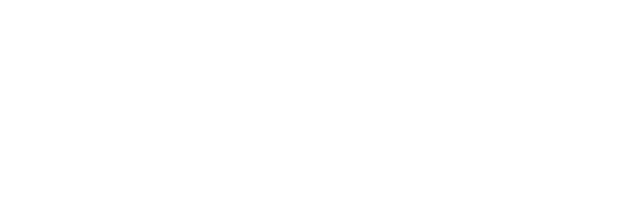 New York, unité spéciale