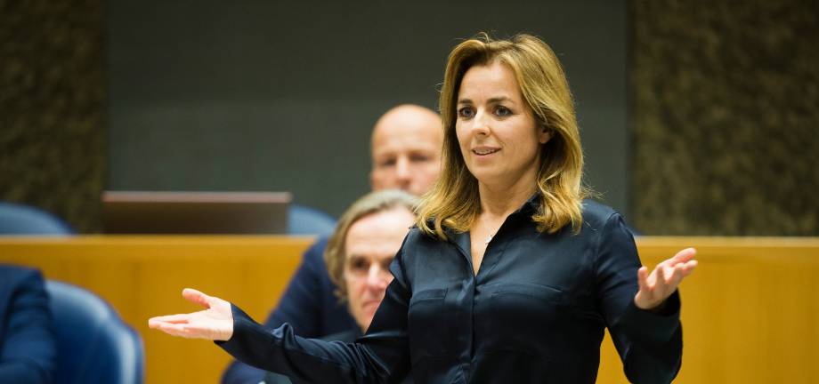 Ook Gedonder Bij De Partij Voor De Dieren Pvdd De Nasleep Debat In De Digitale Hofstad