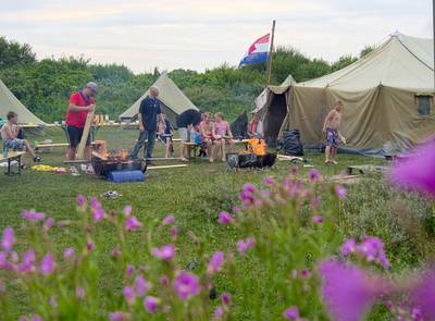 Staatsbosbeheer herstelt eiland Dwars in de Weg