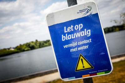 Negatief zwemadvies 't Smokkelstrand Chaam door blauwalg