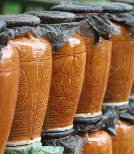 Zeven Cambodjanen overleden en 130 in ziekenhuis na drinken giftige rijstwijn