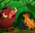 Waarom Timon en Pumbaa domme Vlamingen moesten zijn